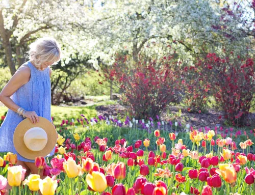 Spring Cleaning Your Health Routine: Refreshing Your Wellness Goals
