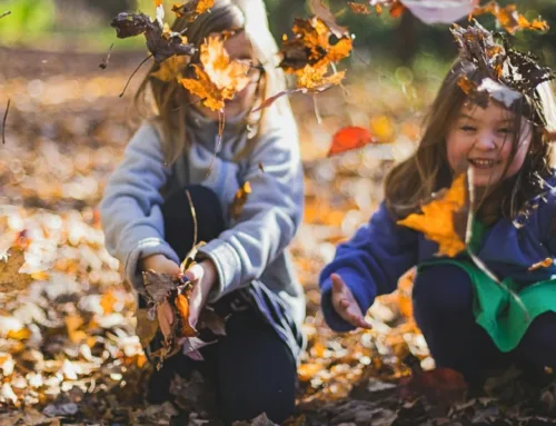 The Vitamin D Dip: How Fall Darkness Disrupts Your Immune System